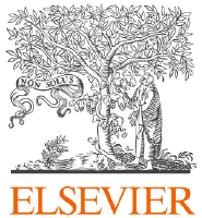 Elsevier