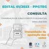 CONSULTA